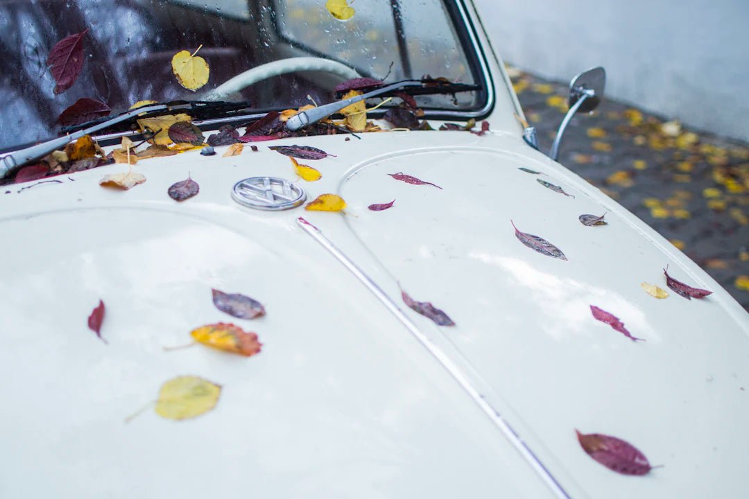 The Science Behind Paint Protection - Sud Factory