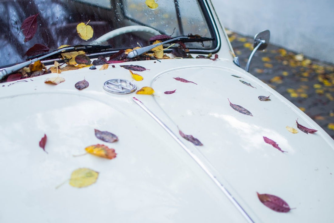 Understanding the Benefits of Clay Bar Treatment in Car Detailing - Sud Factory